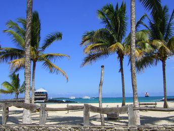 Isabela-Island-Ecuador