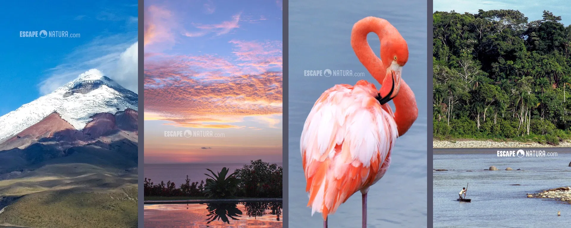 Ecuador green travel