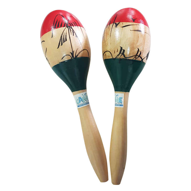 Ecuadorian Cultural Music & Spanish Program